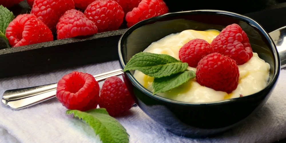 Delicious pudding in a dessert bowl