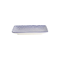 Preview: Sushi-Platte Nippon Blue Waves Blau/Weiß, Porzellan, 21 × 13,5 cm, Art.-Nr. 15607