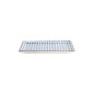 Preview: Sushi Plate Japan Flower Sakura White/Blue, Porcelain, 21 × 13.5 cm, Item No. 22005