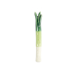 Preview: TDS, Kawaii Essstäbchenablage, Leek, 1,4x7,6x1,4cm, Art.-Nr. 33671