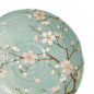 Preview: Green Cosmos Teller bei g-HoReCa (Bild 5 von 5)