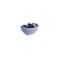 Preview: Bowl Seafood Snapper Blue, Porcelain, Ø 11.2 × 6.2 cm, 300 ml, Item No. 7563