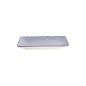 Preview: Sushi Plate Nippon Blue Waves Blue/White, Porcelain, 21 × 13.5 cm, Item No. 15607