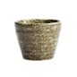 Preview: Shinryoku Green Cup at g-HoReCa (picture 3 of 6)
