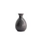 Preview: L Tetsusabi Schwarz Sake-Flasche bei g-HoReCa (Bild 1 von 3)