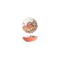 Preview: Tokyo Design Studio Saucenschale Seafood Hummer Rot, Porzellan, Ø 9,5 × 3 cm, 150 ml
