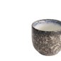 Preview: Tajimi Sake Tasse bei g-HoReCa (Bild 3 von 5)
