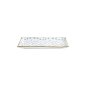 Preview: Sushi Plate Japan Flower Mizu White/Blue, Porcelain, 21 × 13.5 cm, Item No. 22004