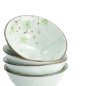 Preview: TDS, Schalen Set, 4-tlg., Green Cosmos, Ø 13x6cm 350ml, Art.-Nr. 22024