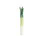 Preview: TDS, Kawaii Chopstick Rest, Leek, 1.4x7.6x1.4cm, Item No. 33671