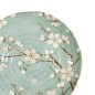 Preview: Green Cosmos Plate at g-HoReCa (picture 5 of 5)