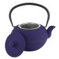Preview: TDS, WY Cast Iron Teapot, Arare, Blue, 1.2 L, Item No. 34031