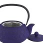 Preview: TDS, WY Teekanne aus Gusseisen, Sakura, Blau, 0,9 L, Art-Nr. 34148