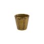 Preview: Shinryoku Green Tea Cup at g-HoReCa (picture 2 of 7)