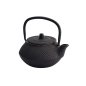 Preview: Nippon Black Teekanne bei g-HoReCa (Bild 1 von 3)