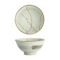 Preview: Soshun Matte Tayo Bowl at g-HoReCa (picture 1 of 6)