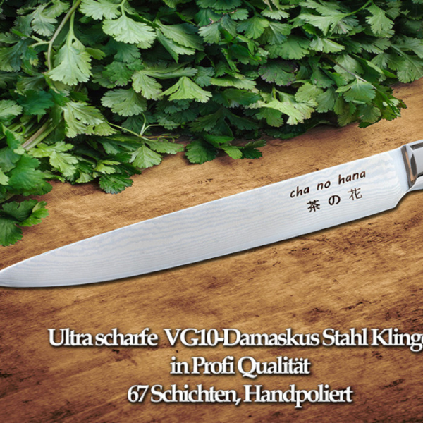 Sashimi Knife (fillet knife) at g-HoReCa (picture 5 of 7)