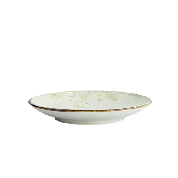 Green Cosmos Plate at g-HoReCa (picture 3 of 5)