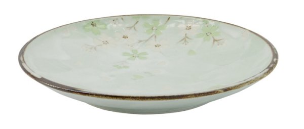 Green Cosmos Plate at g-HoReCa (picture 2 of 5)