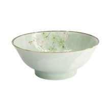 Green Cosmos Bowl at g-HoReCa (picture 2 of 5)